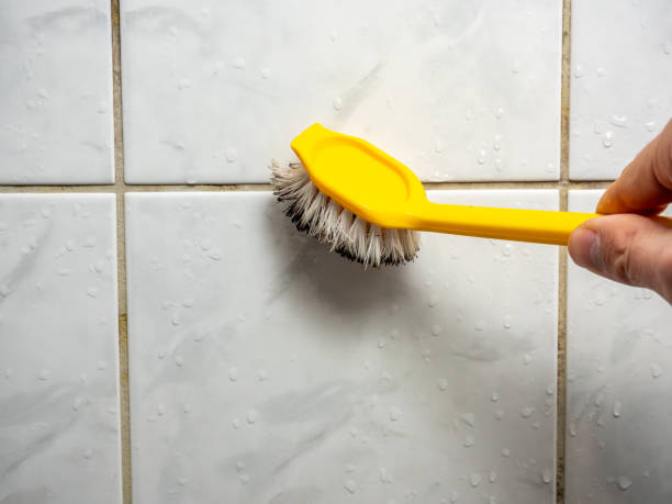 Best Certified Mold Removal  in Woodbranch, TX