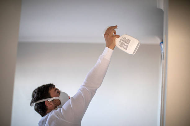 Best Home Mold Removal  in Woodbranch, TX
