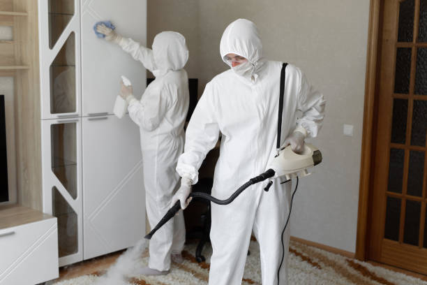 Crawl Space Mold Removal in Woodbranch, TX
