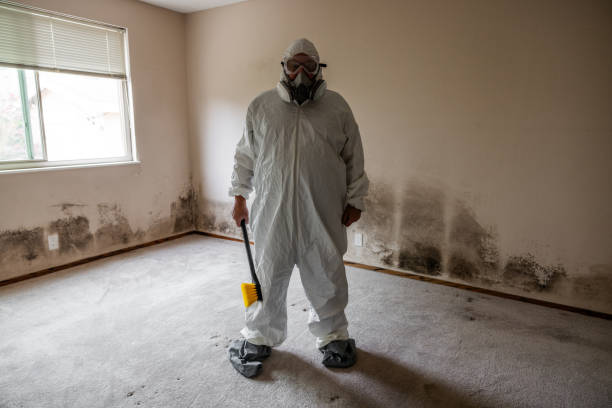 Best Professional Mold Removal  in Woodbranch, TX